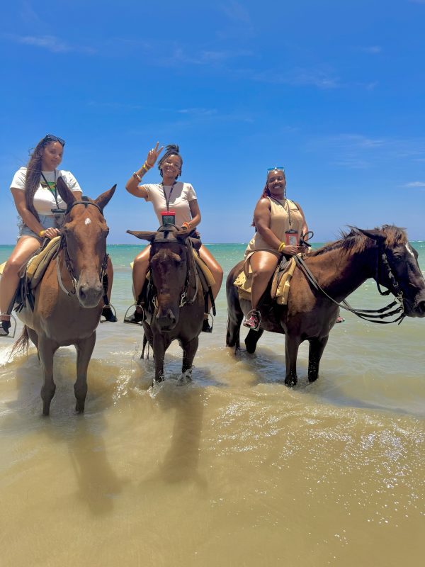 Ultimate Horseback Riding In And Out Of Water Adventure - Image 4