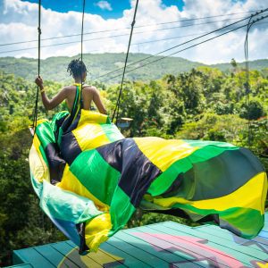 Island Swing with Dress & Drone Photoshoot